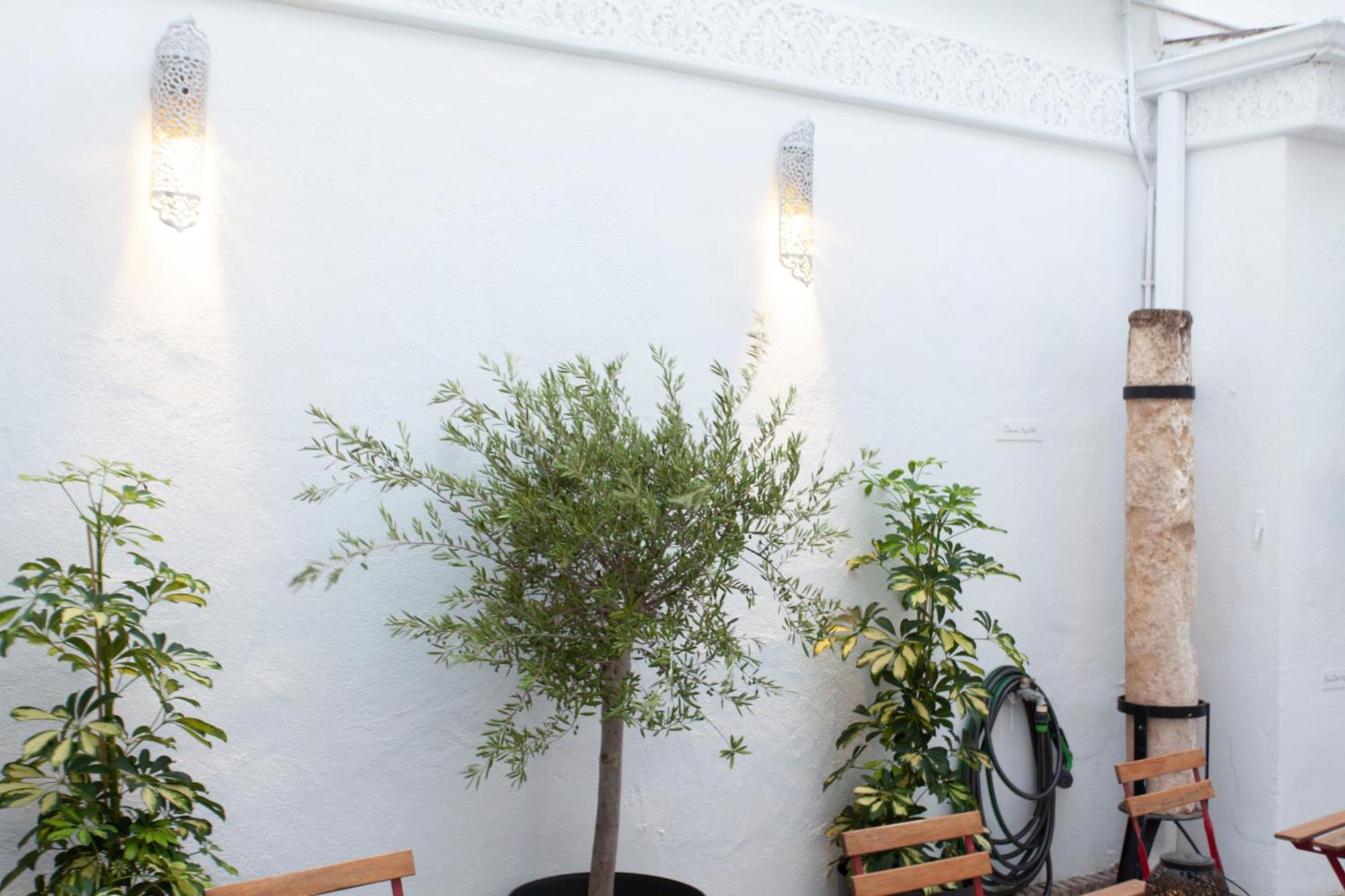 Altabib Riad Córdoba Exterior foto
